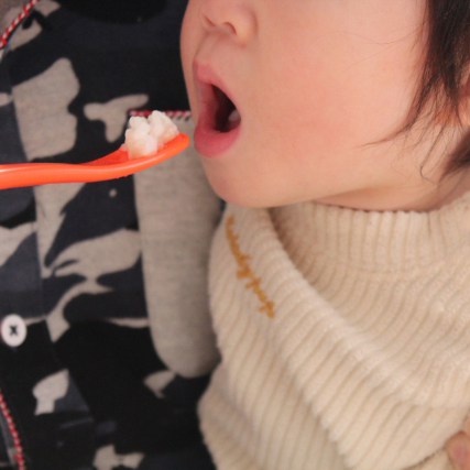 乳幼児期の歯科口腔保健（1歳6か月児）の説明