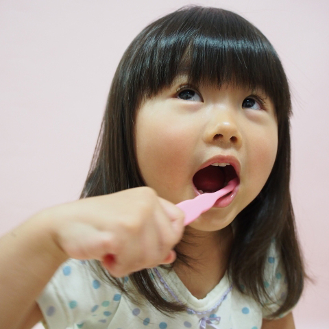 2歳児親子歯科健診の説明